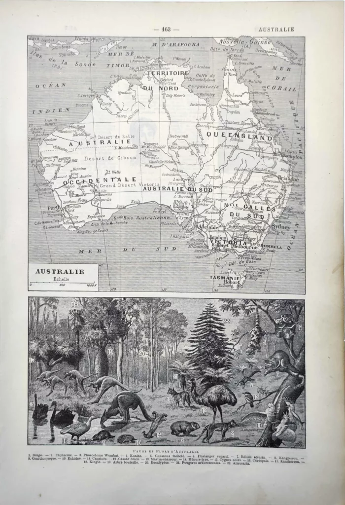 Australie, carte, kangourous, oiseaux et faune du continent, planche de 1922