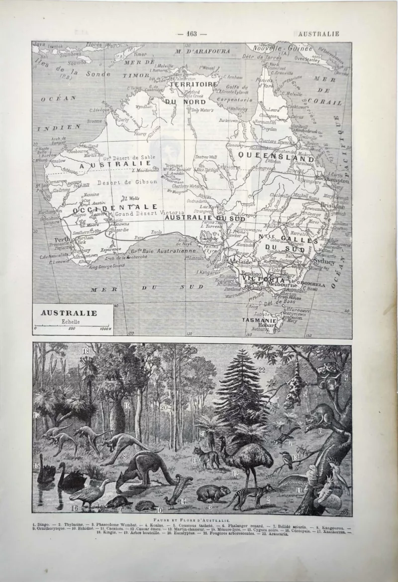 LU11922AUST-R-australie Australie, carte, kangourous, oiseaux et faune du continent, planche de 1922