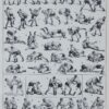 Lutte, 40 prises et mouvements, planche sportive 1930
