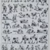 Lutte, 40 prises et mouvements, planche sportive 1930