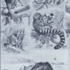 mammiferes-a21 Mammifères exotiques et sauvages, planche zoologique 1930