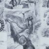 mammiferes-a22 Mammifères exotiques et sauvages, planche zoologique 1930