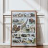 mammiferes-a54.jpg Mammifères sauvages et domestiques, planche zoologique 1930