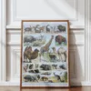 Mammifères sauvages et domestiques, planche zoologique 1930