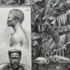 Afrique, carte, illustrations naturalistes, planche originale 1897