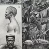 nli1-afrique-carte-1897-a22.jpg Afrique, carte, illustrations naturalistes, planche originale 1897 – verso encadré en décoration murale