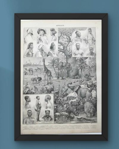 Afrique, carte, illustrations naturalistes, planche originale 1897