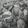 Afrique, carte, illustrations naturalistes, planche originale 1897