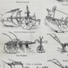 Agriculture, machines et outils, deux planches originales 1897