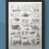 Agriculture, machines et outils, deux planches originales 1897 – verso du document ancien