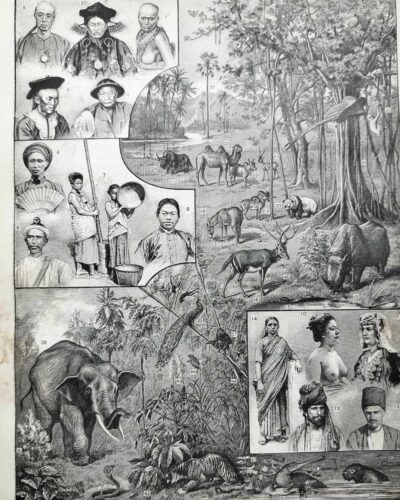 Asie, un continent de contrastes et de cultures (1897)