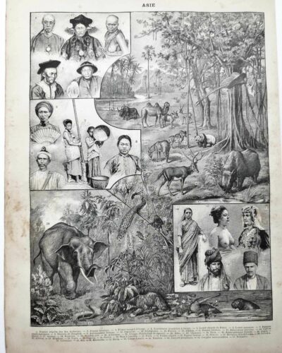 Asie, un continent de contrastes et de cultures (1897)