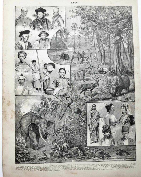 Asie, un continent de contrastes et de cultures (1897)