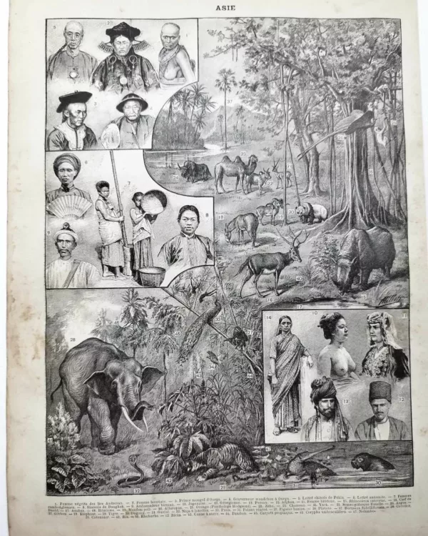 nli1-asie-peuples-traditions-a11.jpg Asie, un continent de contrastes et de cultures (1897)