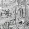 Asie, un continent de contrastes et de cultures (1897)