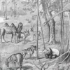 nli1-asie-peuples-traditions-b13.jpg Asie, un continent de contrastes et de cultures (1897) – détail de la planche ancienne