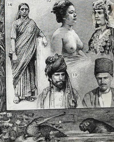 Asie, un continent de contrastes et de cultures (1897)