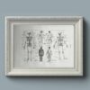 Anatomie humaine, squelette, nerfs et circulation, planche 1948