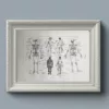 nlu1-anatomie-homme-a21 Anatomie humaine, squelette, nerfs et circulation, planche 1948 – verso du document ancien