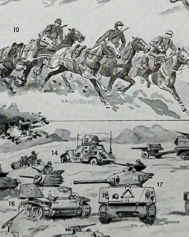 Cavalerie française, évolution historique, planche originale 1948 – verso encadré en décoration murale