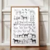 nlu1-cheval-a12 Chevaux, anatomie et races, planche zoologique 1948 – planche encadrée en décoration murale