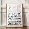 Chiens, races et anatomie, planche zoologique 1948