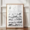 Chiens, races et anatomie, planche zoologique 1948 – planche encadrée en décoration murale