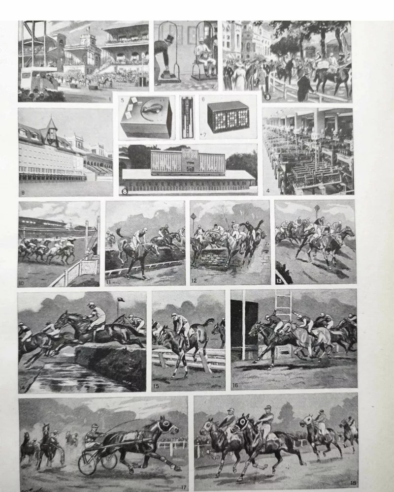 nlu1-courses-hypodrome-a10 Courses hippiques et compétitions, planche 1948 – planche ancienne entière