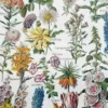 nlu1-fleurs-botanique-a13 Fleurs du monde, planche botanique 1948 – détail de la planche ancienne