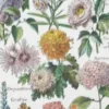 nlu1-fleurs-botanique-b13 Fleurs du monde, planche botanique 1948 – détail de la planche ancienne