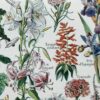 Fleurs du monde, planche botanique 1948