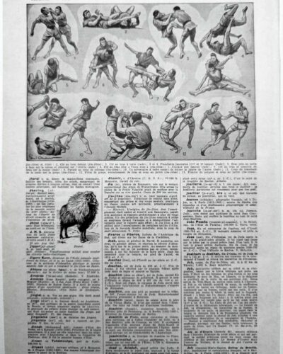 nlu1-sports-a11-2.jpg Sports et pratiques sportives, lot de 6 planches 1948