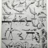 nlu1-sports-a20-2.jpg Sports et pratiques sportives, lot de 6 planches 1948
