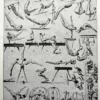 Sports et pratiques sportives, lot de 6 planches 1948 – verso du document ancien