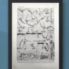 Sports et pratiques sportives, lot de 6 planches 1948 – verso du document ancien