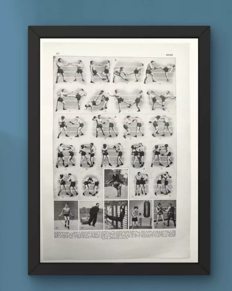 Sports et pratiques sportives, lot de 6 planches 1948 – verso du document ancien