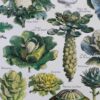 Légumes et plantes potagères, planche botanique 1949