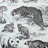 nlu2-mammiferes-baleine-b22 Mammifères, baleine, lion et ours, planche zoologique 1949