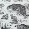 Mammifères, baleine, lion et ours, planche zoologique 1949 – verso encadré en décoration murale