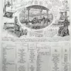 NU11948BOIS-bois-essences-A20 bois, essences, acajou
