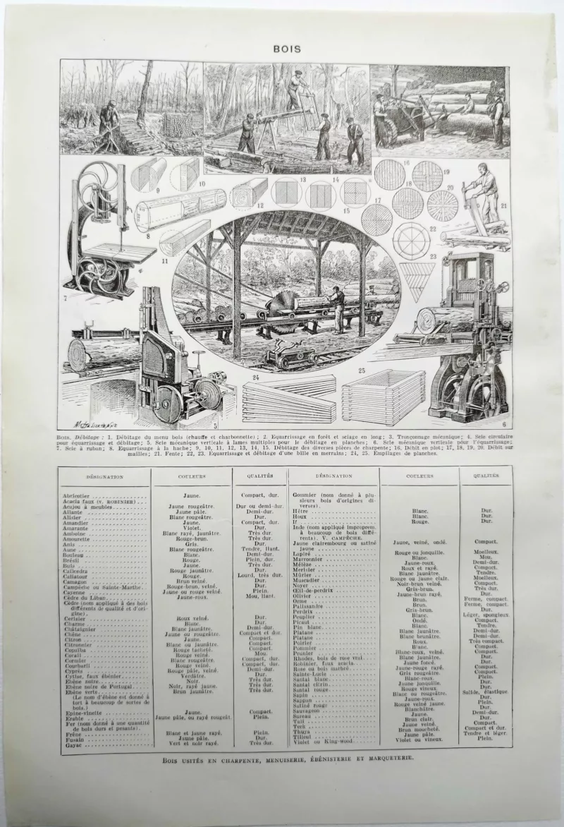 NU11948BOIS-V-bois-debitage-sciage Bois, débitage, sciage
