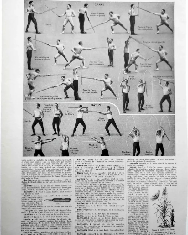 NU11948CANN Canne sport techniques de combat Canne sport techniques de combat