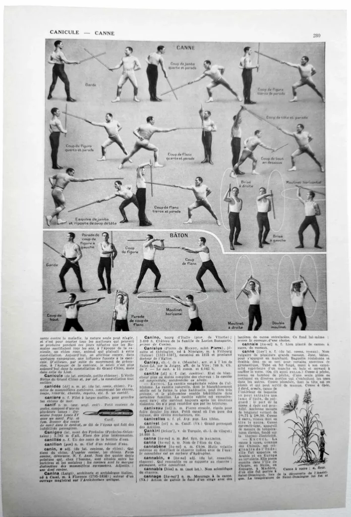 Canne sport techniques de combat