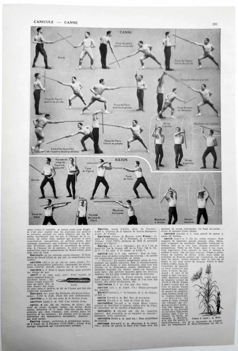 NU11948CANN Canne sport techniques de combat Canne sport techniques de combat