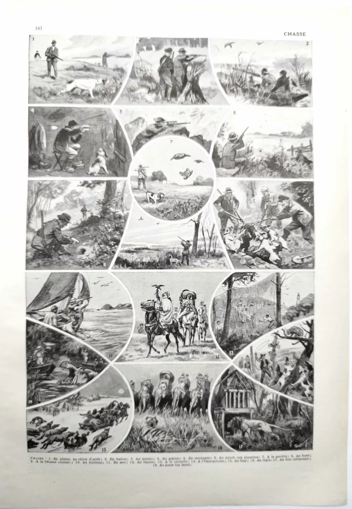 Chasses et chasseurs