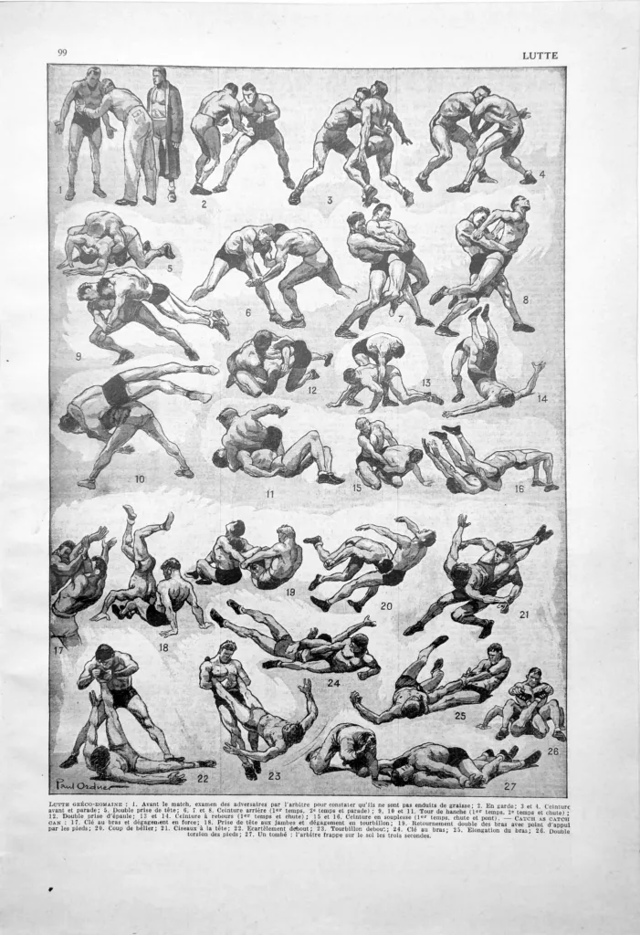 Sport de lutte, techniques de combat
