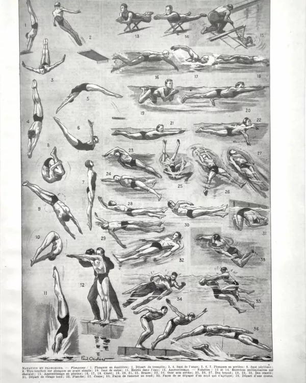 natation-nages-mouvements