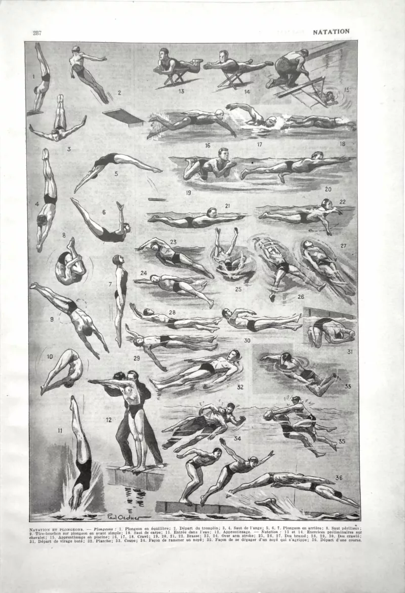 NU21949NATA-R-natation-nages-mouvements natation-nages-mouvements