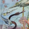 NU21949OCGR-oceanographie-animaux-profondeurs-A13 Animaux des profondeurs marine