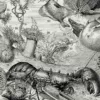 NU21949OCGR-oceanographie-animaux-profondeurs-B22 Animaux des profondeurs marine